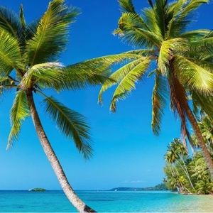 Meet your Posher, Bonnie